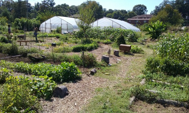 Grow Where You Are community garden