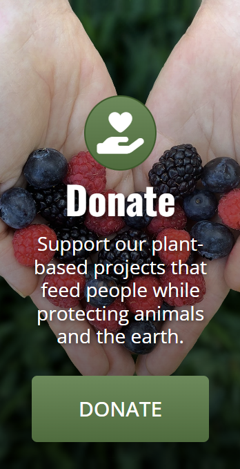 Donate Box Small