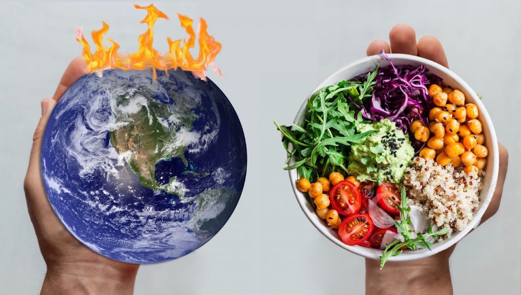 Plant-based diets best for climate, scientists say