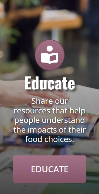 Educate Box Small