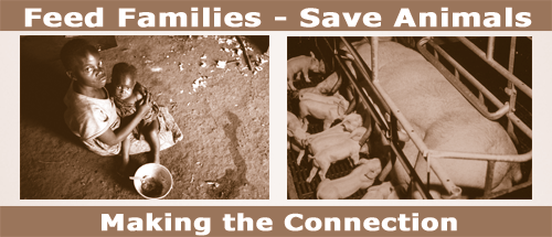 feed families - save animals - making the connection