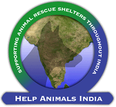 Help Animals India logo
