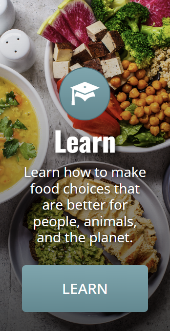 Learn Box Small