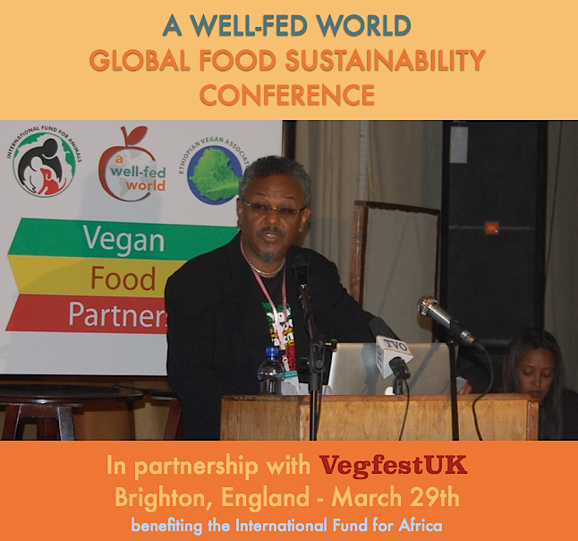 awfw-sustainability-conference-final