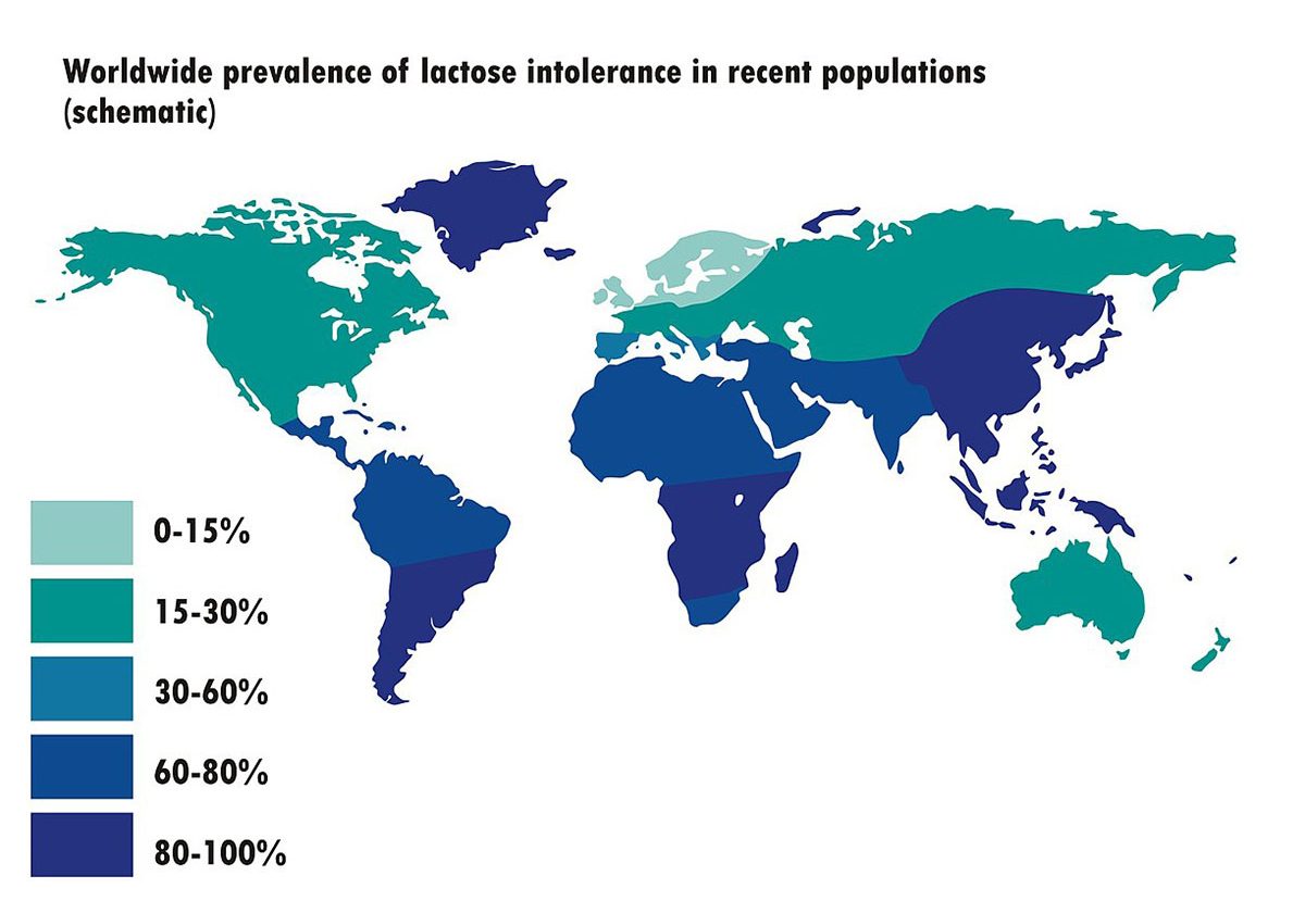1200px-Worldwide_prevalence_of_lactose_intolerance_in_recent_populations_vertical