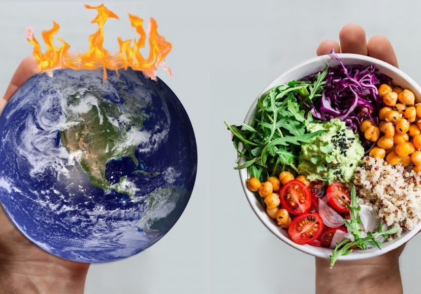 Plant-based diets best for climate, scientists say