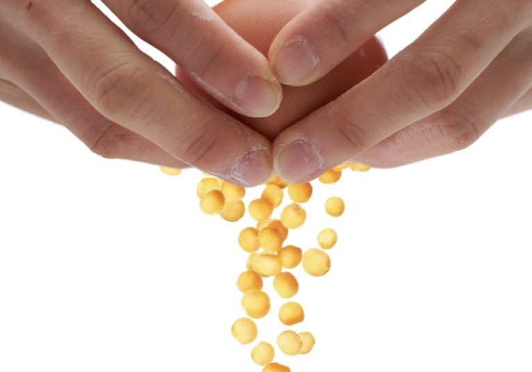 Worried about the cost of eggs? There’s a bean for that. (Facebook Ad) - 2