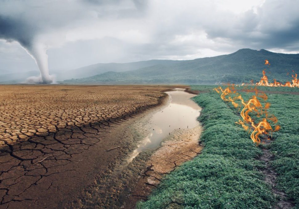 climate disasters collage