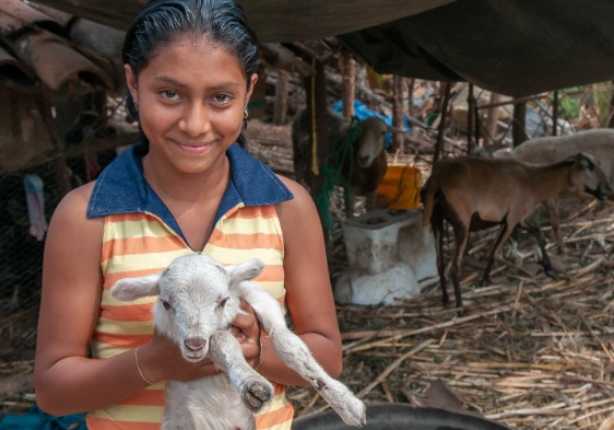girl holding baby goat in rural El Salvador 123rf cropped