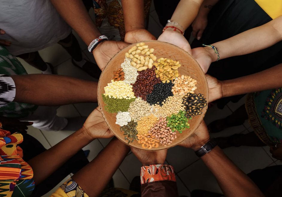 global hands holding bowl of beans, peas nuts seeds cropped