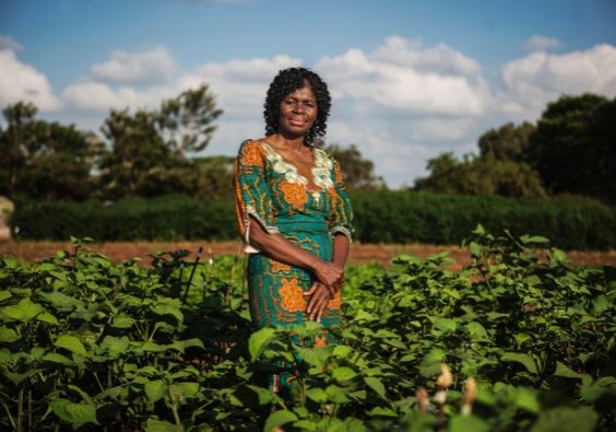 Early in her childhood, Mary Abukutsa-Onyango developed an allergy to dairy, eggs, and certain meats, and a doctor advised her to avoid eating any animal products. Her mother and grandmothers raised her on nourishing meals made from native plants growing around her village. Read more about her work here.