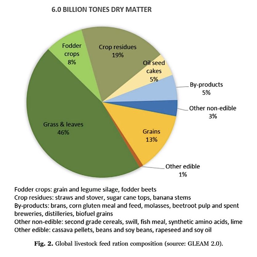 Feed, Livestock, Crops & Animals