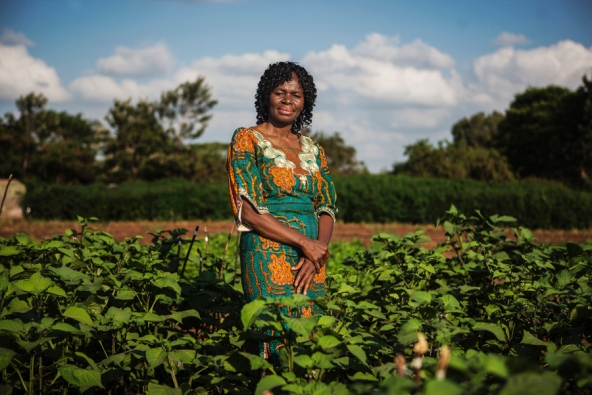 Early in her childhood, Mary Abukutsa-Onyango developed an allergy to dairy, eggs, and certain meats, and a doctor advised her to avoid eating any animal products. Her mother and grandmothers raised her on nourishing meals made from native plants growing around her village. Read more about her work here.