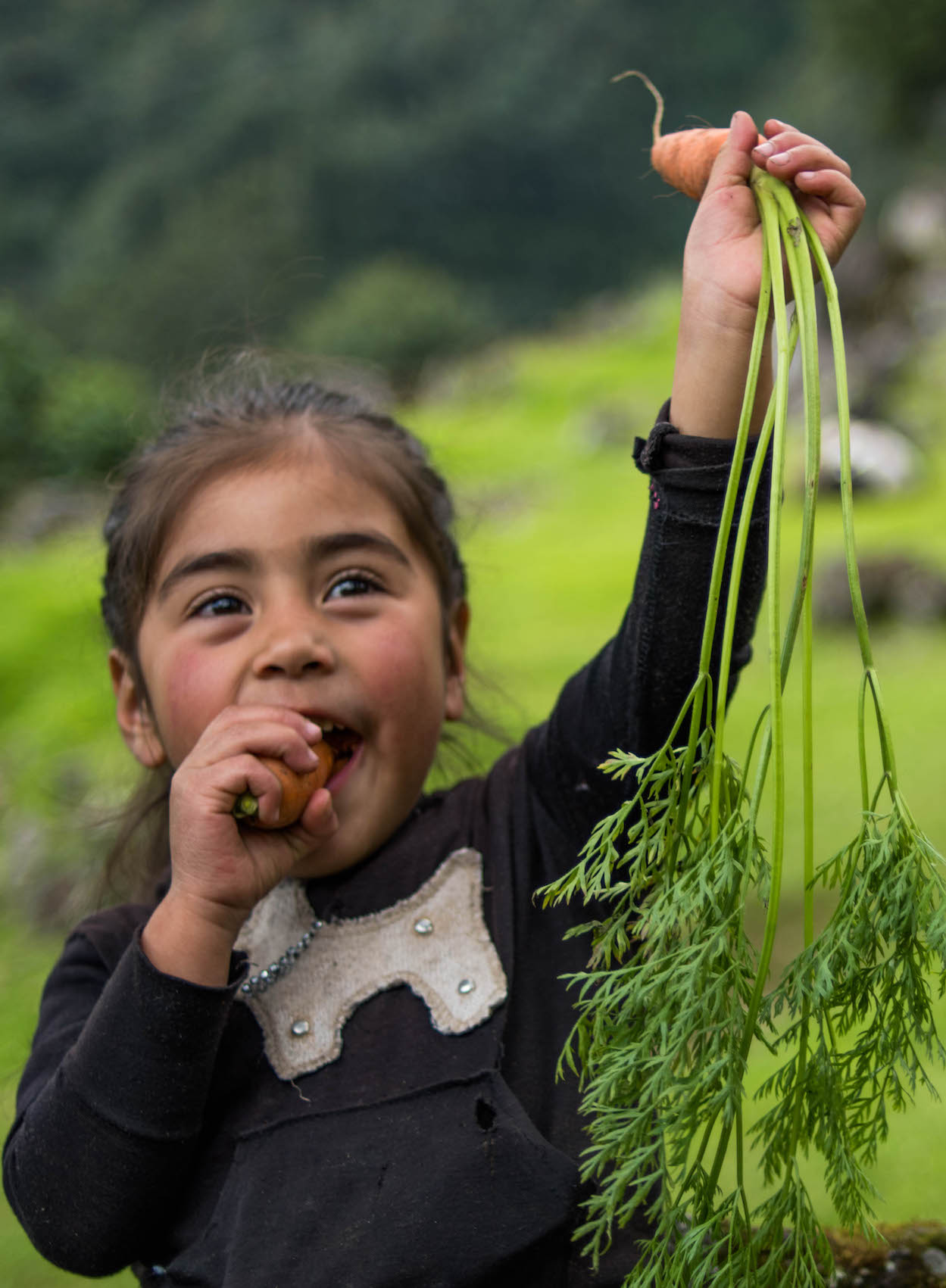 seed programs spi guatemala cropped