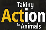taking action for animals